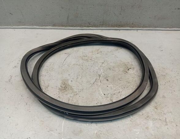 Door Seal VW Polo (6C1, 6R1)