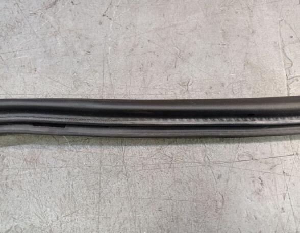 Door Seal PORSCHE CAYENNE (92A)