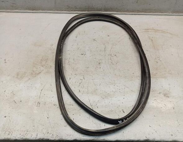 Door Seal AUDI A6 (4F2, C6)