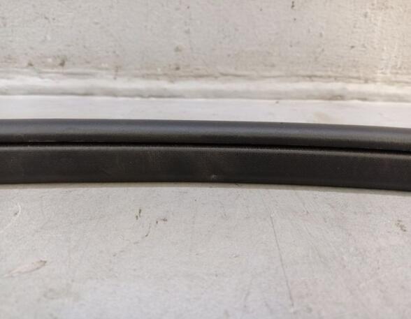 Door Seal MAZDA 3 (BL)