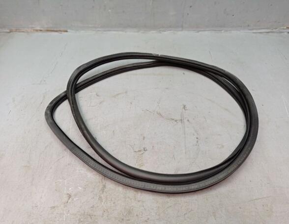 Door Seal VW TOUAREG (7LA, 7L6, 7L7)