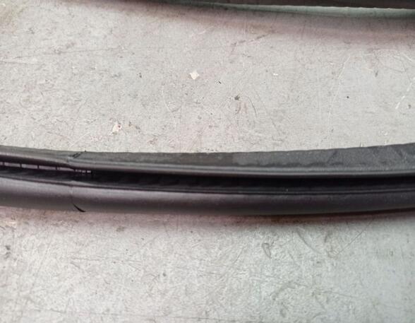 Door Seal VW TOUAREG (7LA, 7L6, 7L7)