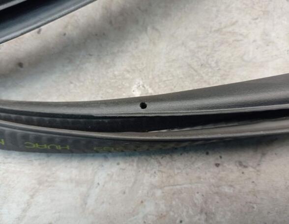 Door Seal PORSCHE CAYENNE (9PA)