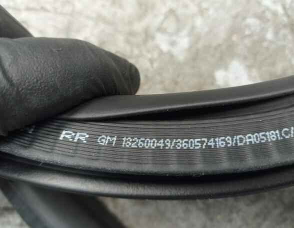 Door Seal OPEL ASTRA J Sports Tourer (P10)