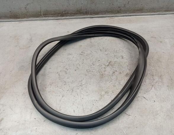 Door Seal MAZDA 3 (BM, BN)