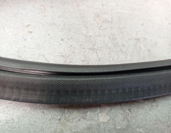 Door Seal VW PASSAT (3G2, CB2)