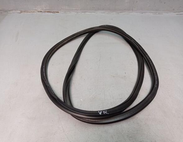 Door Seal VW PASSAT (3G2, CB2)