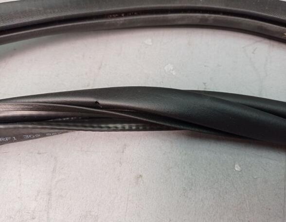 Door Seal VW PASSAT (3G2, CB2)