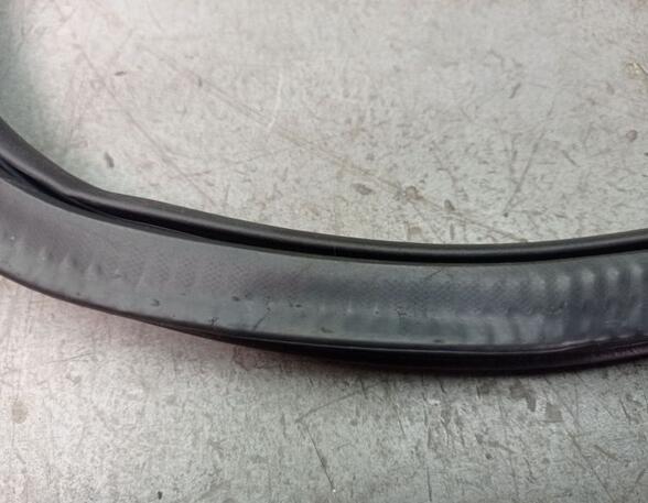 Door Seal VW GOLF VII (5G1, BQ1, BE1, BE2)