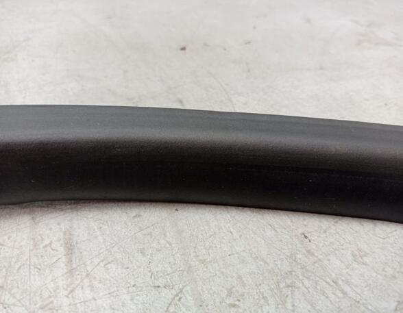 Door Seal RENAULT ZOE (BFM_)