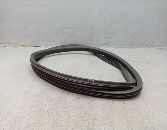 Door Seal RENAULT ZOE (BFM_)