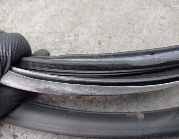 Door Seal PEUGEOT 207 (WA_, WC_)