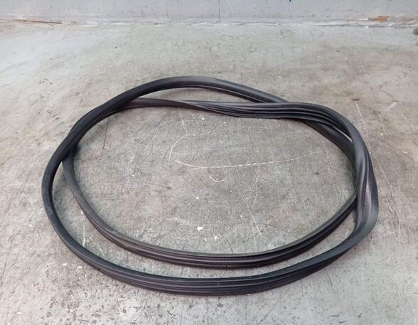 Door Seal PEUGEOT 206+ (2L_, 2M_)