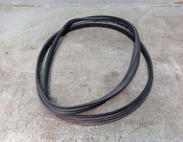 Door Seal RENAULT CLIO III (BR0/1, CR0/1), RENAULT CLIO IV (BH_)