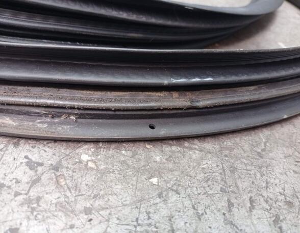 Door Seal RENAULT CLIO III (BR0/1, CR0/1), RENAULT CLIO IV (BH_)