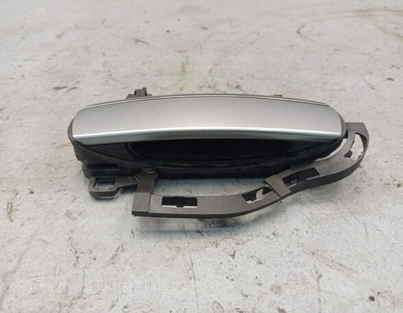 Door Handle AUDI A6 (4F2, C6)