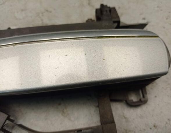 Door Handle AUDI A6 (4F2, C6)