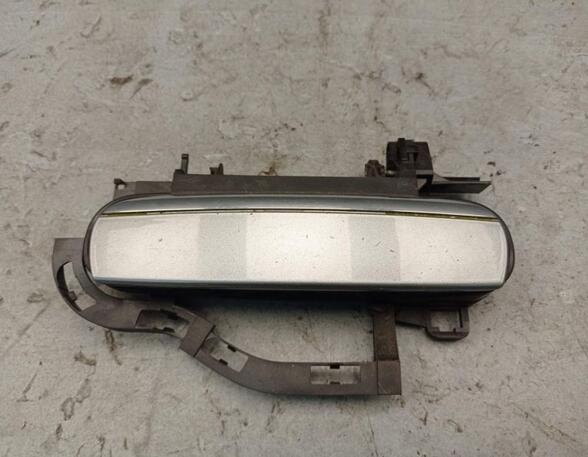 Door Handle AUDI A6 (4F2, C6)