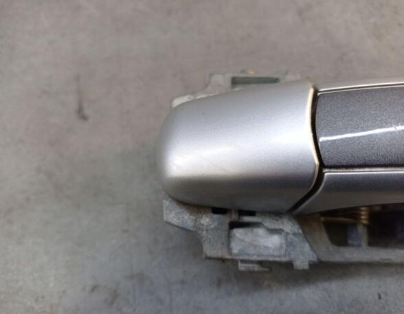 Door Handle PORSCHE CAYENNE (9PA)