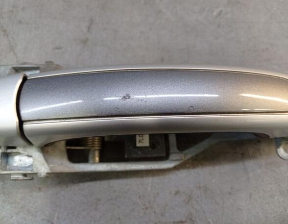 Door Handle PORSCHE CAYENNE (9PA)