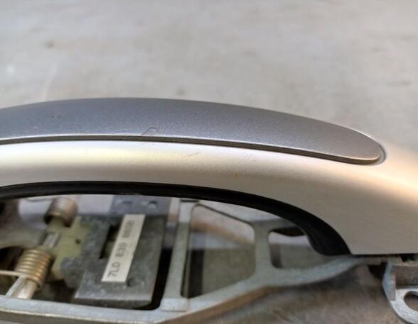 Door Handle PORSCHE CAYENNE (9PA)