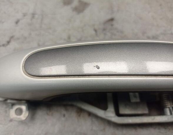 Door Handle PORSCHE CAYENNE (9PA)