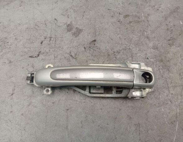 Door Handle PORSCHE CAYENNE (9PA)