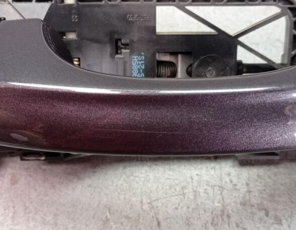 Door Handle VW GOLF VII (5G1, BQ1, BE1, BE2)