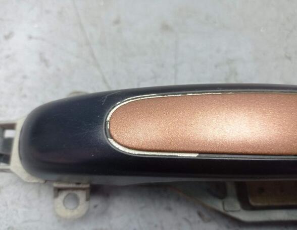 Door Handle PORSCHE CAYENNE (9PA)