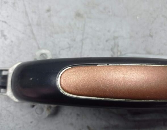 Door Handle PORSCHE CAYENNE (9PA)