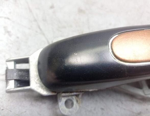 Door Handle PORSCHE CAYENNE (9PA)