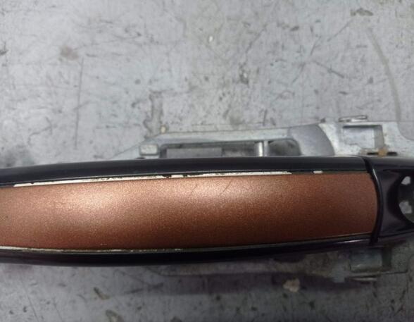 Door Handle PORSCHE CAYENNE (9PA)