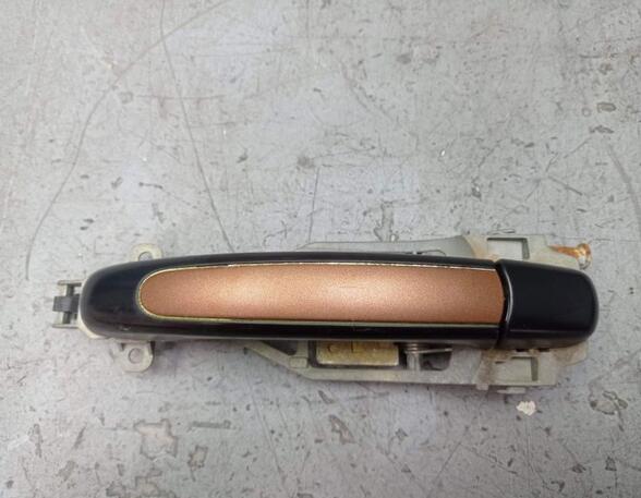 Door Handle PORSCHE CAYENNE (9PA)