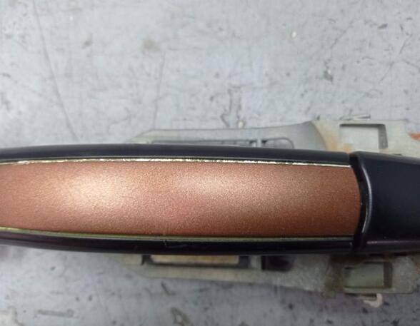 Door Handle PORSCHE CAYENNE (9PA)