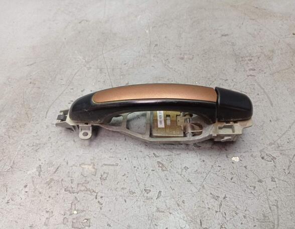 Door Handle PORSCHE CAYENNE (9PA)