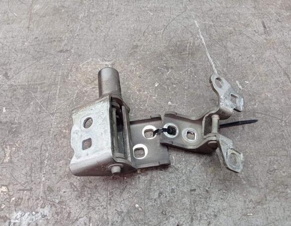 Door Hinge RENAULT CLIO III (BR0/1, CR0/1), RENAULT CLIO IV (BH_)