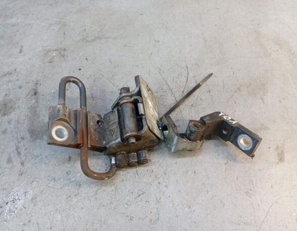 Door Hinge AUDI A4 (8EC, B7)