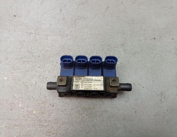 Injector Nozzle RENAULT LAGUNA II (BG0/1_)