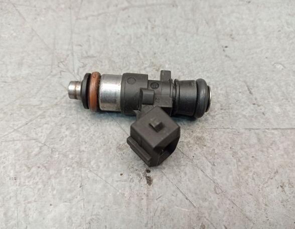 Injector Valve RENAULT CLIO III (BR0/1, CR0/1), RENAULT CLIO IV (BH_)