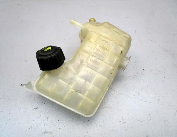 Coolant Expansion Tank RENAULT Megane II Coupé-Cabriolet (EM0/1)