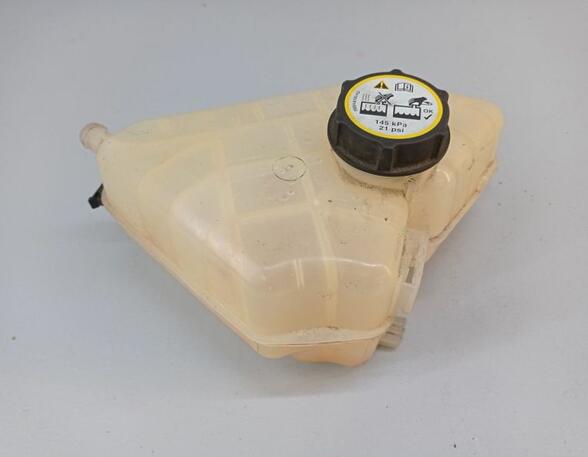 Coolant Expansion Tank FORD Fiesta VI (CB1, CCN)