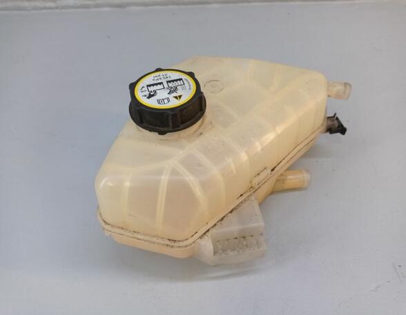 Coolant Expansion Tank FORD Fiesta VI (CB1, CCN)