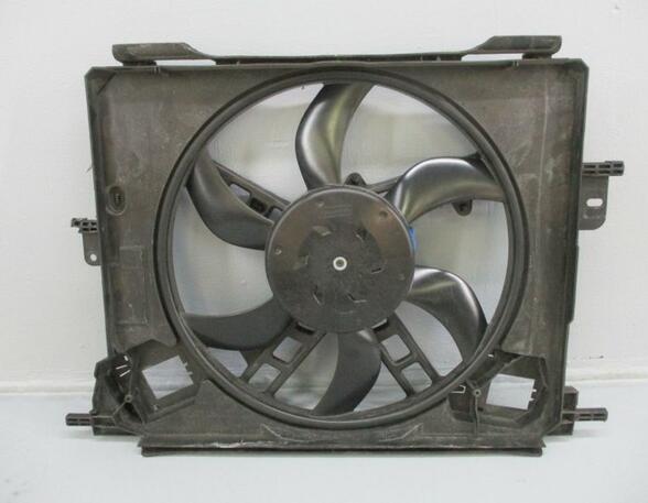 Radiator Electric Fan  Motor RENAULT Twingo III (BCM)