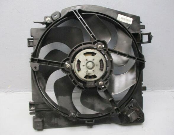 Radiator Electric Fan  Motor RENAULT Clio III (BR0/1, CR0/1)