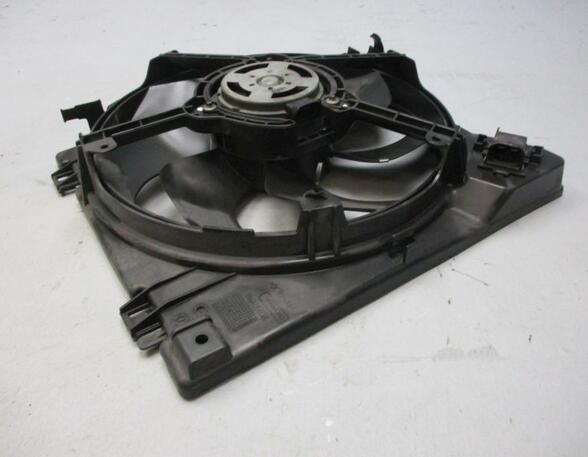 Radiator Electric Fan  Motor RENAULT Clio III (BR0/1, CR0/1)