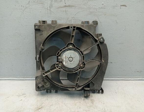 Radiator Electric Fan  Motor RENAULT Clio III (BR0/1, CR0/1), RENAULT Clio IV (BH)