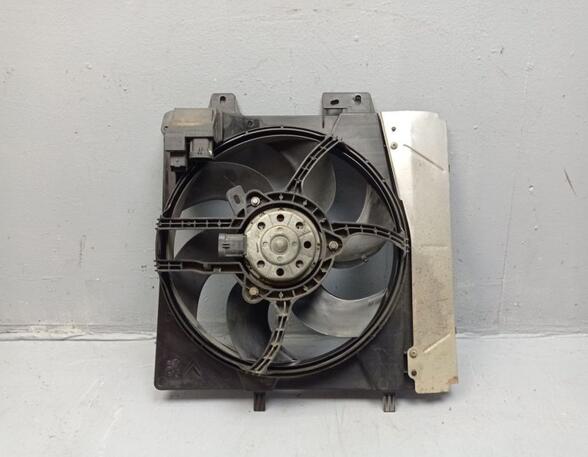 Radiator Electric Fan  Motor PEUGEOT 207 (WA, WC)