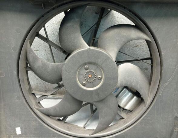 Radiator Electric Fan  Motor MERCEDES-BENZ A-CLASS (W169)