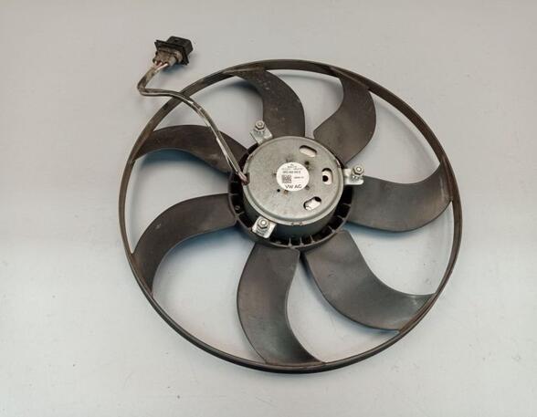 Radiator Electric Fan  Motor VW POLO (6R1, 6C1)