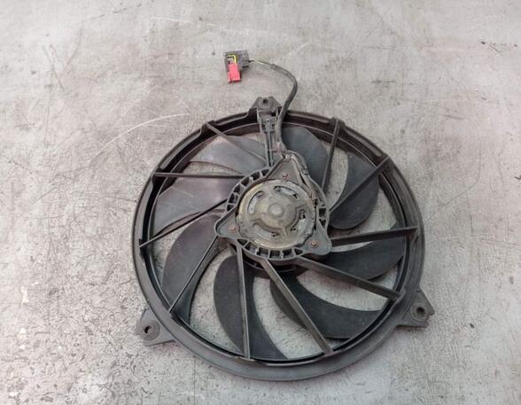 Radiator Electric Fan  Motor PEUGEOT 206 CC (2D)